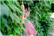 校园绑定jy收集系统白清素